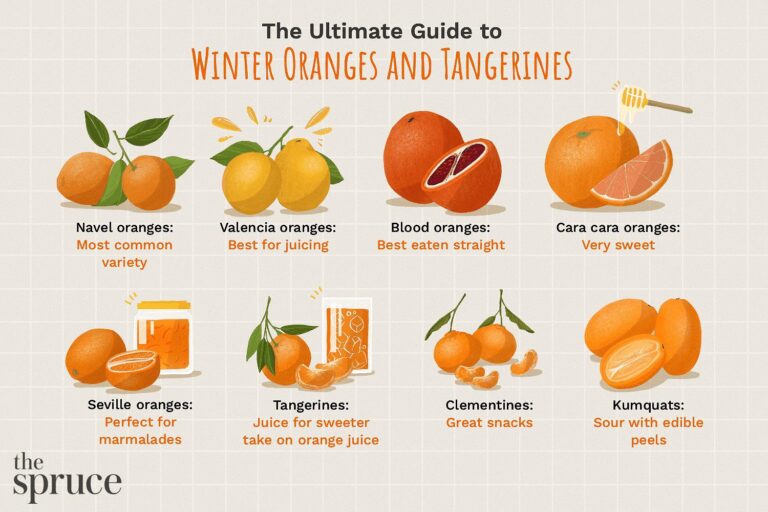 Valencia Oranges vs Navel Oranges: Comparing Citrus