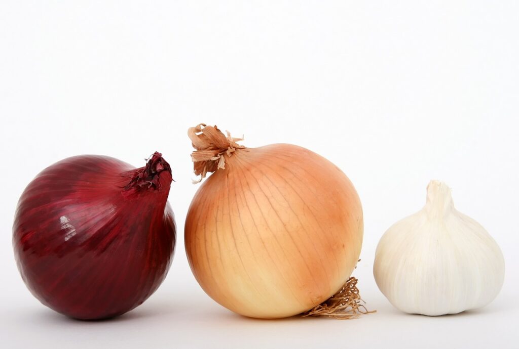 Garlic vs Shallots: Exploring Allium Flavors