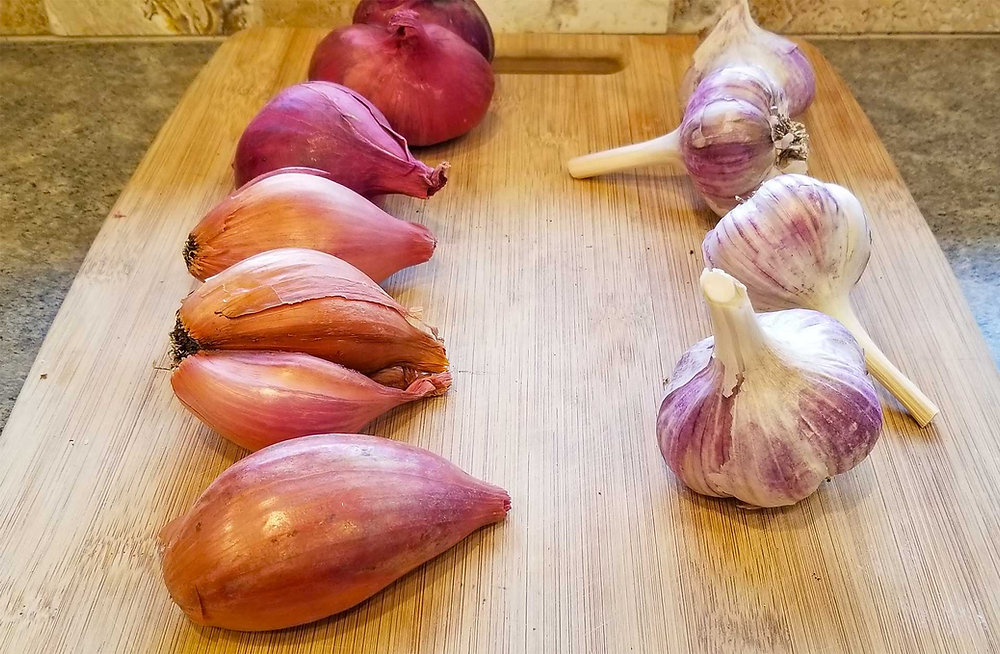 Garlic vs Shallots: Exploring Allium Flavors