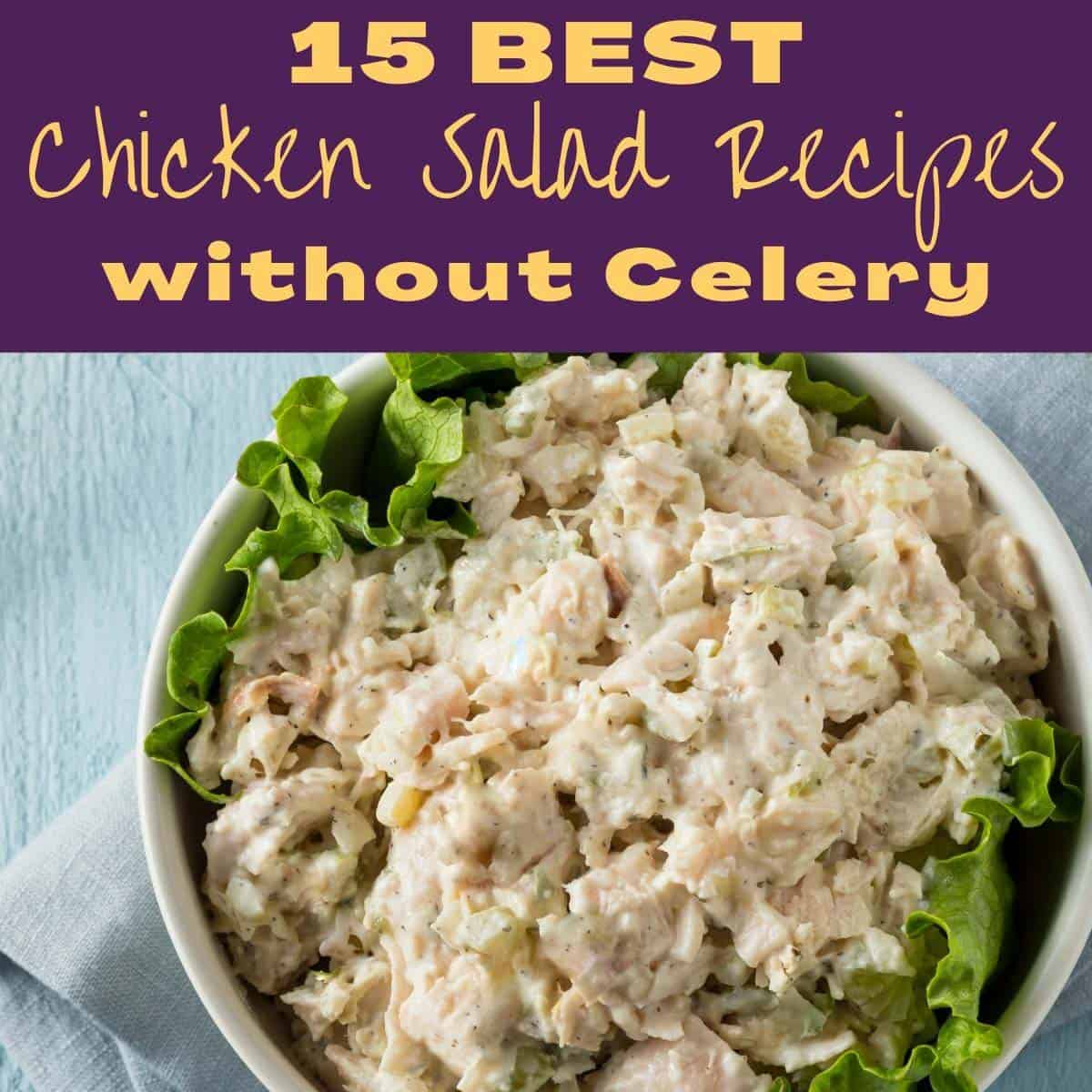 Chicken Salad Without Celery: Customizing Your Recipe