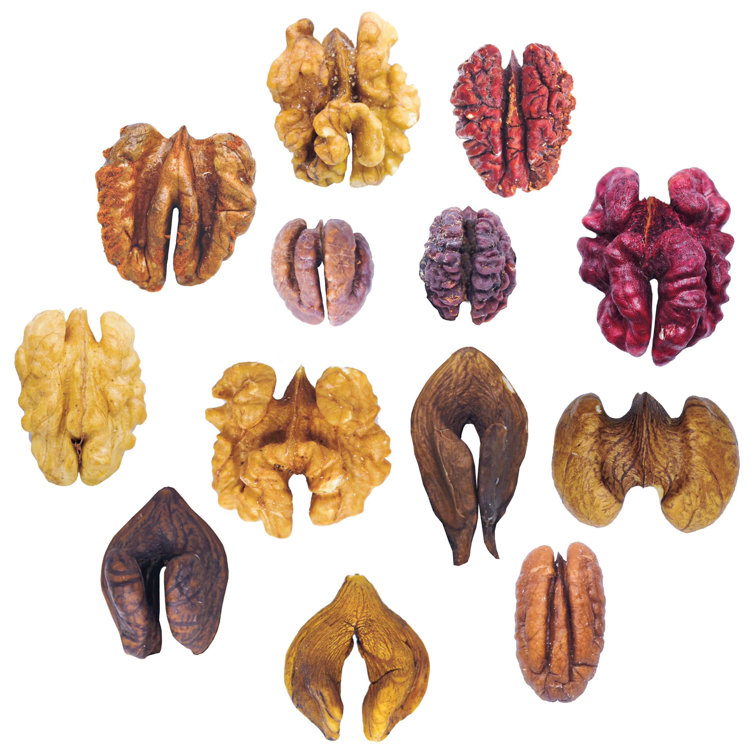 Walnuts vs Black Walnuts: Comparing Nut Varieties