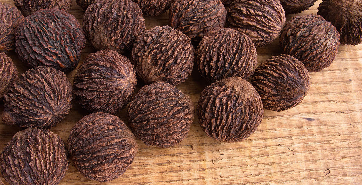 Walnuts vs Black Walnuts: Comparing Nut Varieties