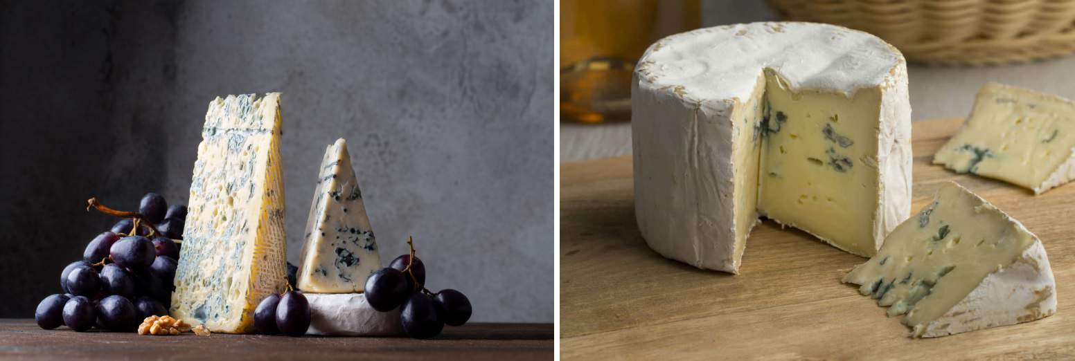 Gorgonzola Cheese vs Blue Cheese: Comparing Cheeses