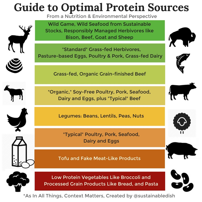 Chicken vs Lamb: Choosing Protein Sources