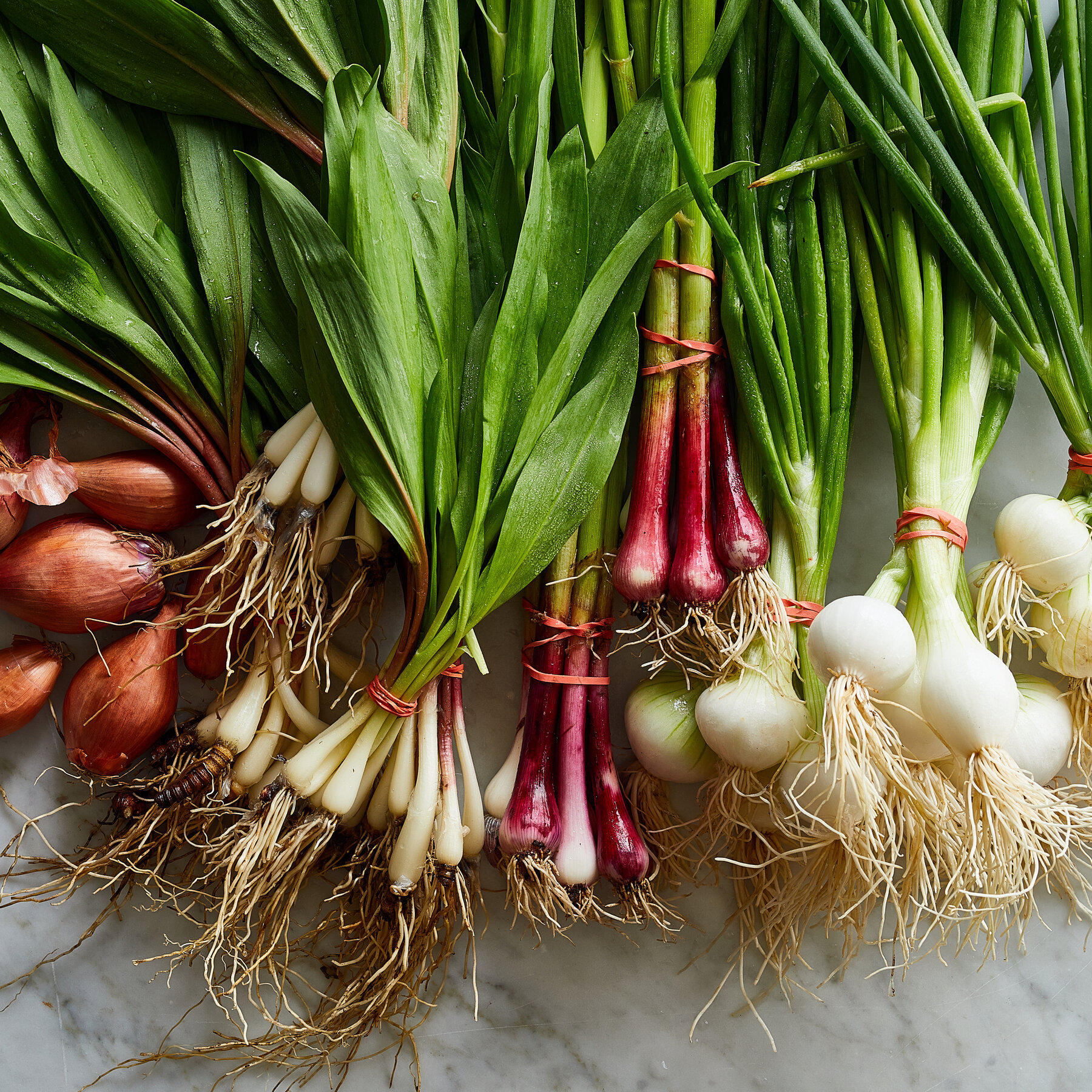 Garlic vs Shallots: Exploring Allium Flavors